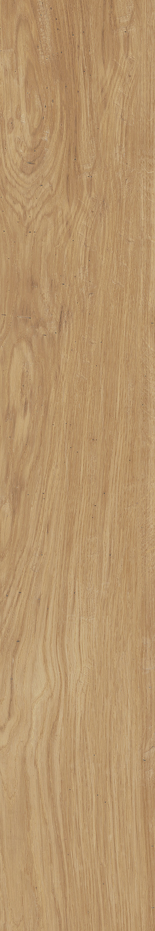 marazzi treverklife mqym.jpg