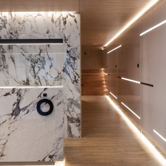 marazzi clinica dental anatomia 006.jpg